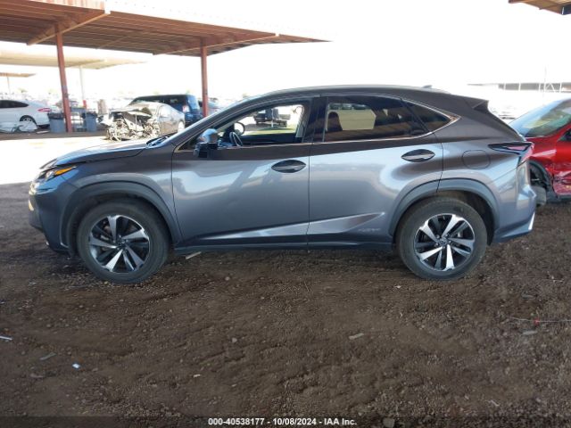 JTJGJRDZ2M2146836 Lexus NX 300H