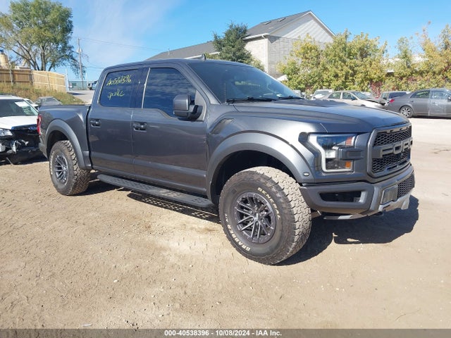 Ford F-150 Raptor 2019 1FTFW1RG6KFC20564 Image 1