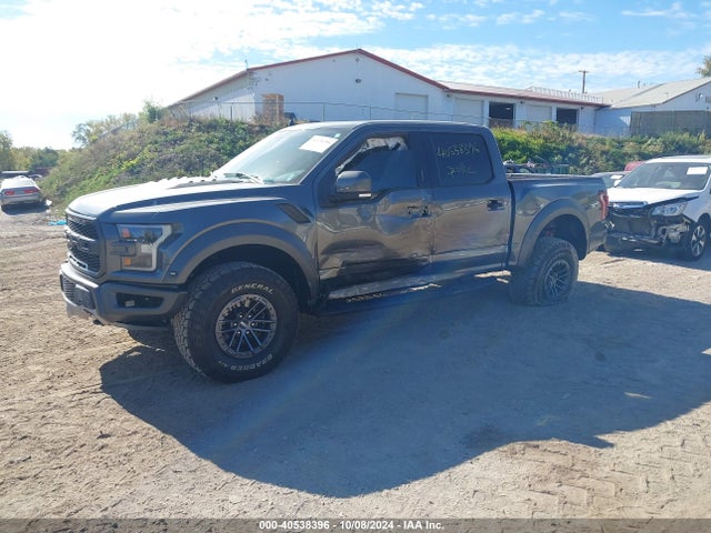 Ford F-150 Raptor 2019 1FTFW1RG6KFC20564 Image 2