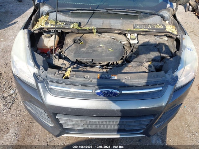 Ford ESCAPE SE 2015 1FMCU0GX9FUA78116 Image 10