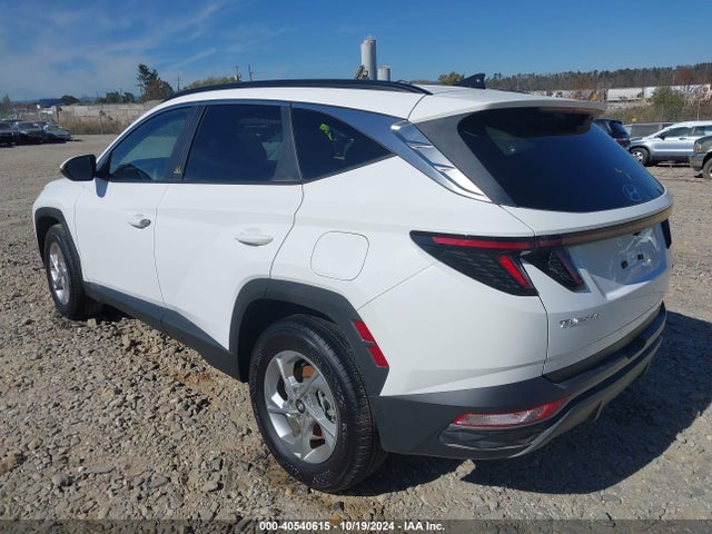 Hyundai TUCSON SEL 2023 5NMJBCAE2PH237707 Image 3