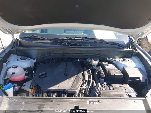 KIA Sorento X-line S 2023 5XYRLDLC2PG175446 Image 10