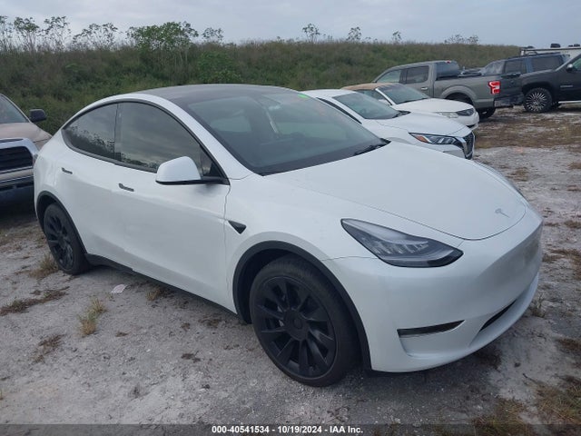 2021 TESLA MODEL Y 5YJYGDEE1MF112176 Photo 0
