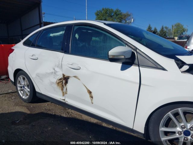 1FADP3F21GL298063 Ford FOCUS SE