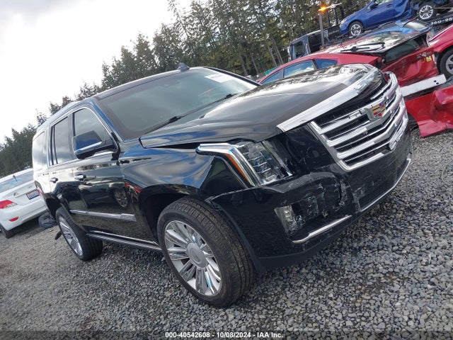 1GYS4DKJ2GR395731 Cadillac Escalade Platinum