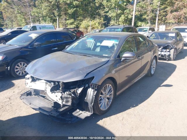4T1B11HK7JU013688 Toyota CAMRY XLE