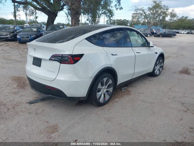 2023 TESLA MODEL Y 7SAYGDEE8PA179376 Photo 3