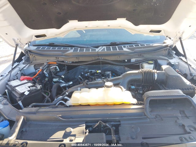 Ford F-150 Xlt 2021 1FTEW1EP8MFC11899 Image 10