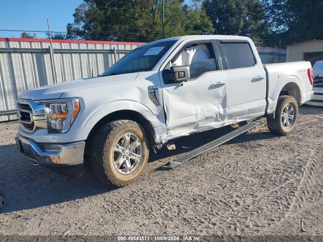 Ford F-150 Xlt 2021 1FTEW1EP8MFC11899 Image 2