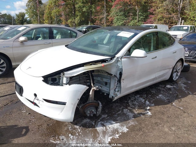 2020 TESLA MODEL 3 5YJ3E1EB9LF621015 Photo 1
