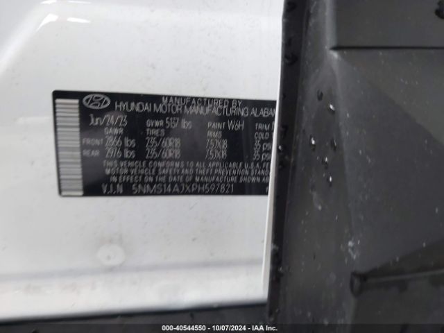 5NMS14AJXPH597821 Hyundai Santa Fe Se
