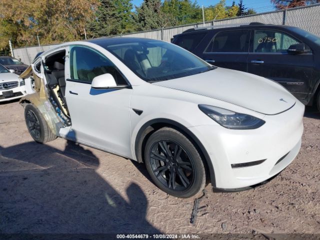 2021 TESLA MODEL Y 5YJYGDEE1MF229787 Photo 0