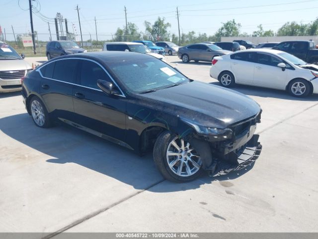 1G6DW5RK6N0126116 auction archive image