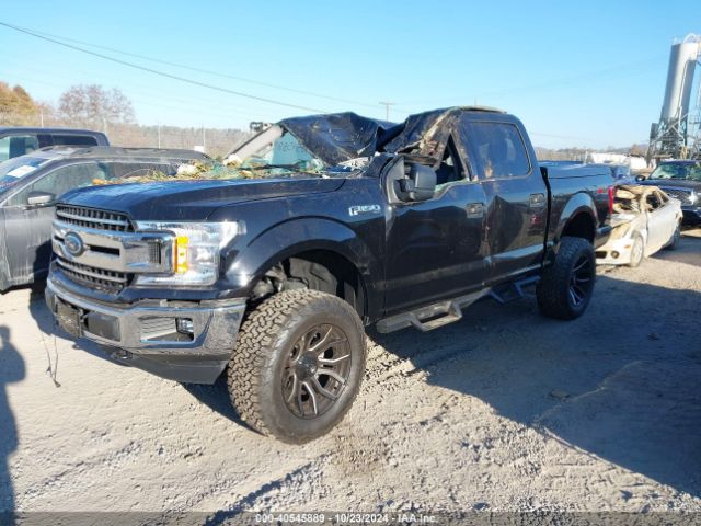 1FTEW1E41LFB21465 Ford F-150 Xlt