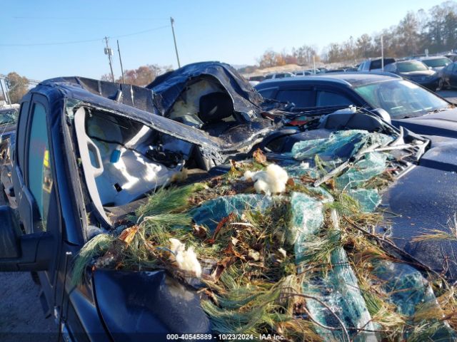1FTEW1E41LFB21465 Ford F-150 Xlt