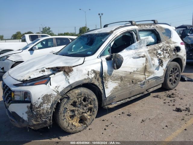 5NMS64AJ3PH497299 Hyundai Santa Fe Xrt