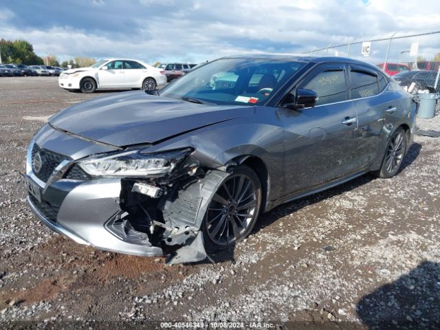 1N4AA6FV5LC376208 Nissan Maxima Platinum Xtronic Cvt