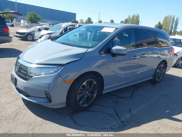 5FNRL6H95PB014296 Honda Odyssey Elite