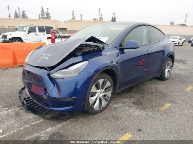 7SAYGAEEXPF752800 Tesla Model Y