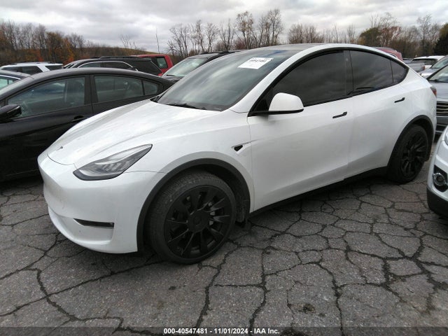 2021 TESLA MODEL Y 5YJYGDEEXMF257944 Photo 1