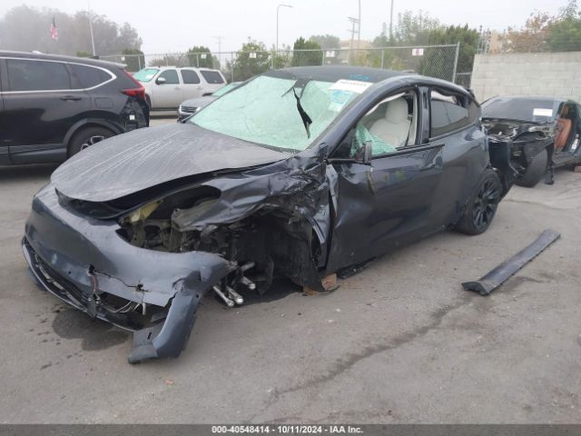2021 TESLA MODEL Y 5YJYGDEE3MF098040 Photo 1