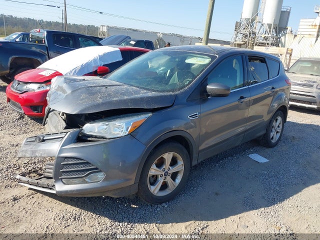 Ford ESCAPE SE 2014 1FMCU9G94EUB81187 Image 2
