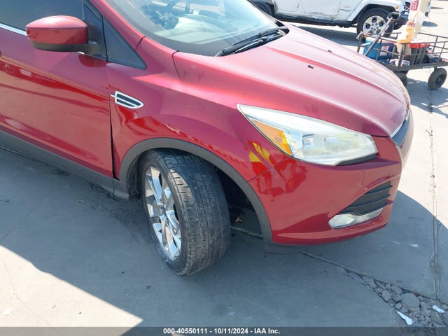 Ford ESCAPE SE 2014 1FMCU0GX6EUD16941 Image 6