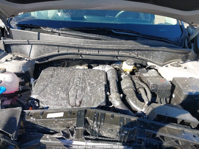 KIA Sorento X-line Sx 2024 5XYRKDJF5RG258551 Image 10