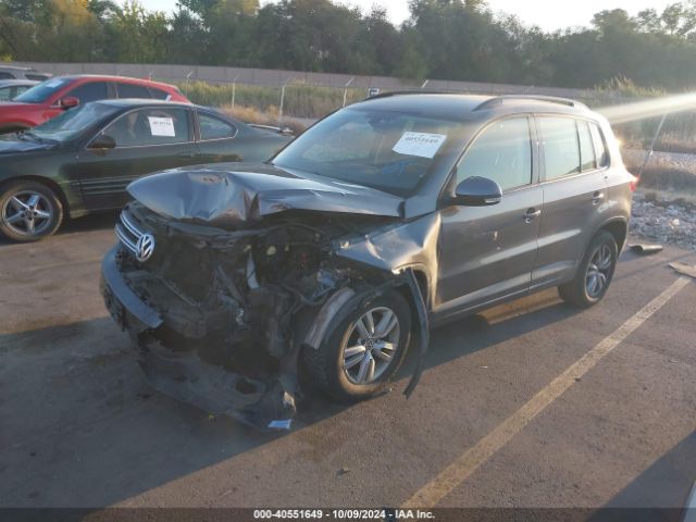 WVGAV7AX8GW502459 Volkswagen TIGUAN S