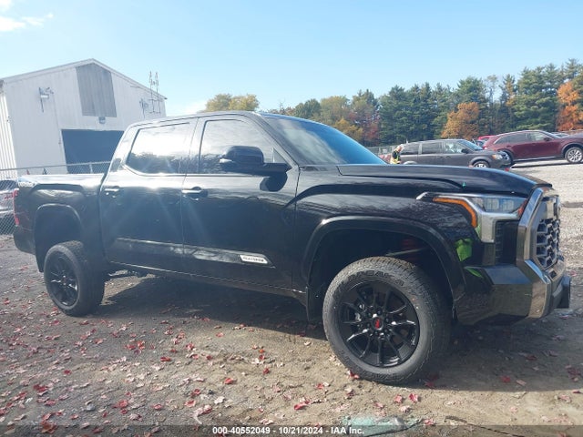Toyota Tundra Platinum 2024 5TFWA5DB1RX165348 Image 13