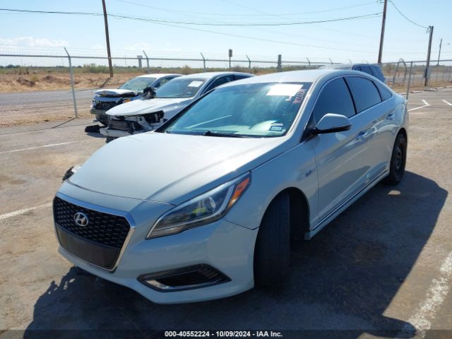 KMHE34L13GA017349 Hyundai Sonata Hybrid Limited