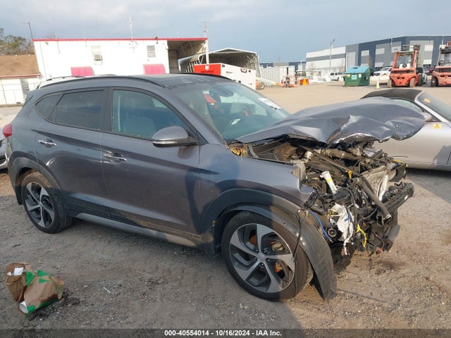 Hyundai Tucson Limited 2017 KM8J3CA22HU322104 Image 13
