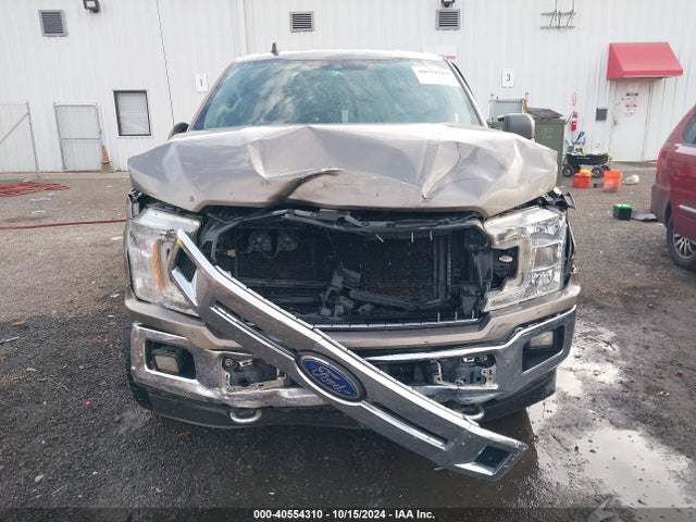 Ford F-150 Xlt 2019 1FTEW1E49KFA96846 Image 12