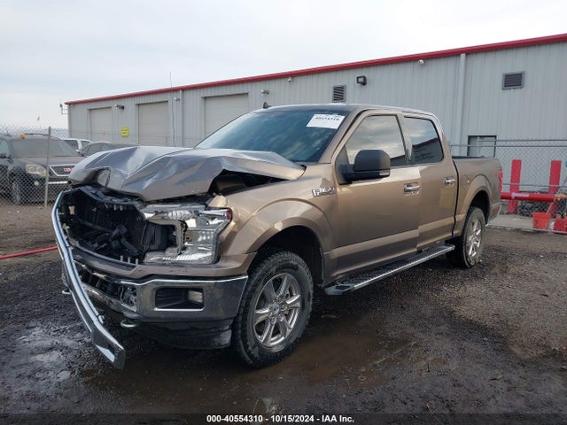 Ford F-150 Xlt 2019 1FTEW1E49KFA96846 Image 2