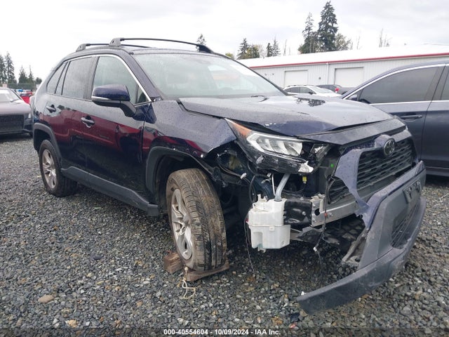 Toyota Rav4 Xle 2019 2T3P1RFV7KC012309 Image 6