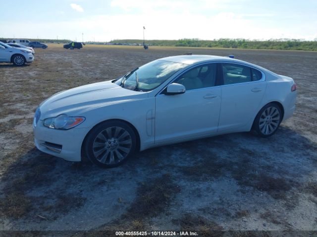 2009 JAGUAR XF SAJWA05B79HR04686 Photo 1