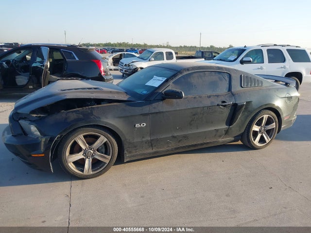 Ford Mustang Gt Premium 2014 1ZVBP8CF0E5249666 Image 14