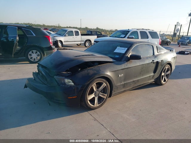 Ford Mustang Gt Premium 2014 1ZVBP8CF0E5249666 Image 2