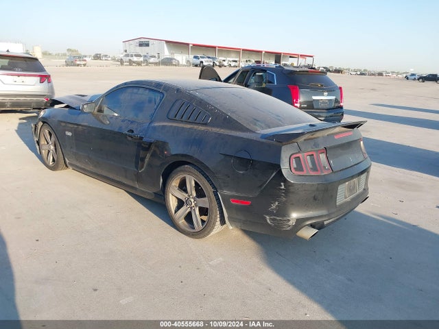 Ford Mustang Gt Premium 2014 1ZVBP8CF0E5249666 Image 3