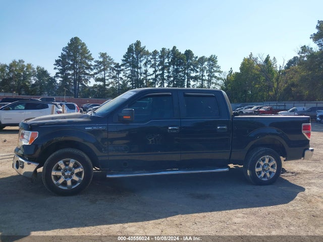 Ford F-150 Xlt 2014 1FTFW1CFXEKE58834 Image 15