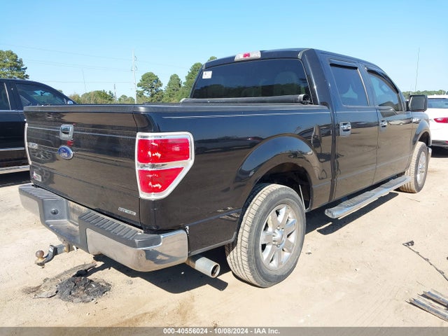 Ford F-150 Xlt 2014 1FTFW1CFXEKE58834 Image 4