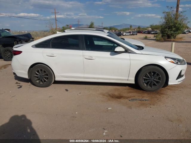 5NPE24AF8JH699151 Hyundai SONATA SE