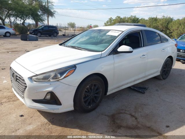 5NPE24AF8JH699151 Hyundai SONATA SE