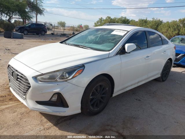 5NPE24AF8JH699151 Hyundai SONATA SE