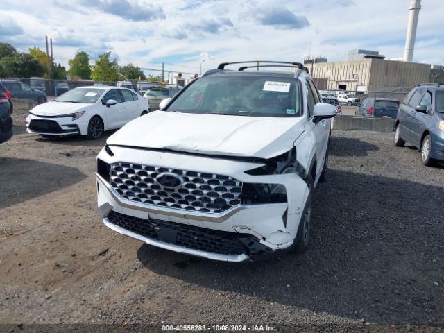 KM8S3DA11NU039593 Hyundai Santa Fe Hybrid Sel Premium