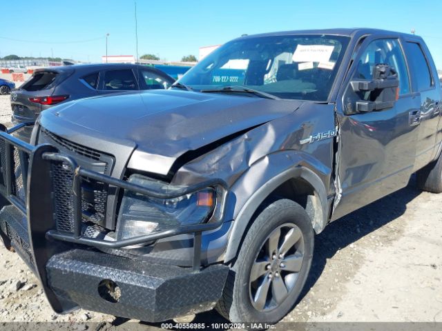 1FTFW1E65EFB86232 Ford F-150 Fx4