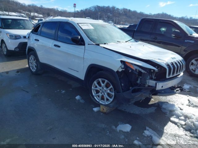 1C4PJLAB9GW135322 auction archive image