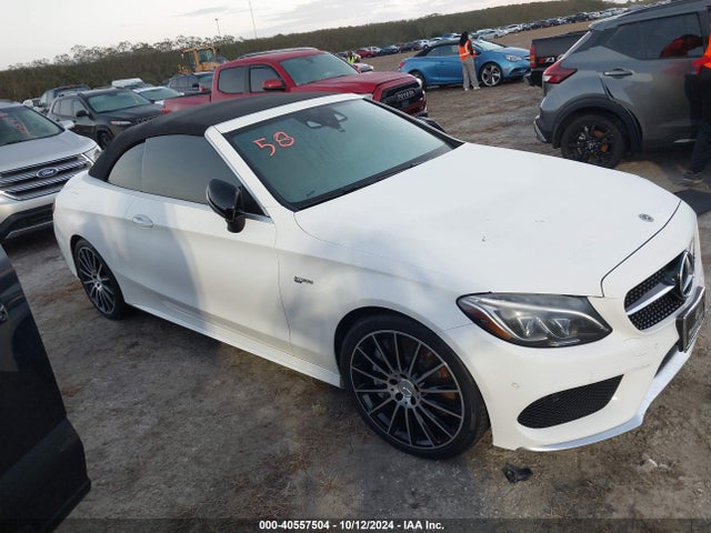 WDDWK6EB5JF618257 Mercedes-Benz Amg C 43 4matic