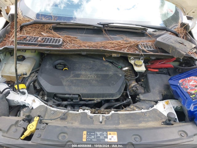 Ford ESCAPE SE 2015 1FMCU0GX9FUA73742 Image 10
