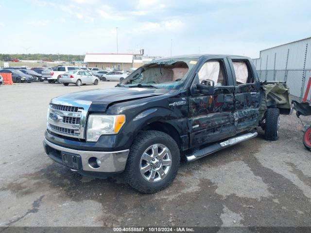 1FTFW1ET7EKD24544 Ford F-150 Xlt